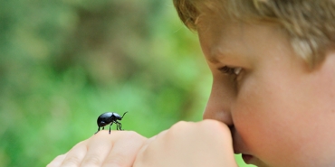 Insects and stings in the countryside: what to do if you have young children?
