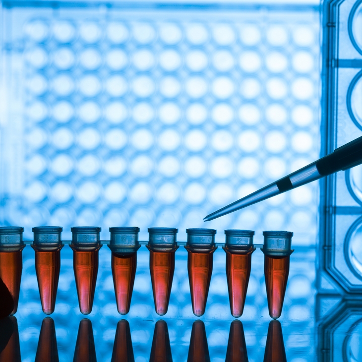 Quality Control and Food Safety