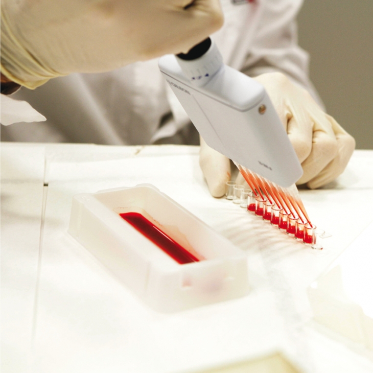 Research & Development